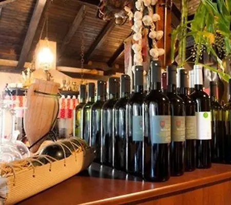 Makin Novigrad (Istria)